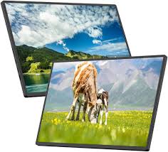 Monitor Portátil 1080P de 18