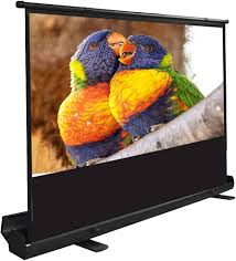 Pantalla de Proyector 100'' para Interiores y Exteriores
